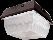 RAB Lighting VAN3F32QT/PCS - Vandalproof, 2400 lumens, VAN3, 9 inch x 9 Inch, ceiling mount, 32W, CFL-QT, lamp, 120V swivel pho
