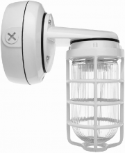 RAB Lighting VXBR1F13W-3/4 - Vaporproof, 900 lumens, CFL Bracket 13W, Qt 3/4 inch, white, with glass globe, Cast guard