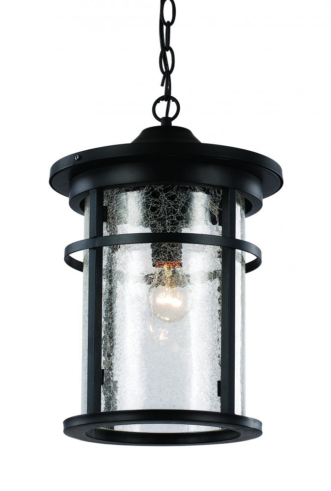 Avalon Crackled Glass Outdoor Hanging Pendant Light with Open Base