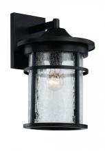 Trans Globe 40382 BK - Avalon Crackled Glass, Armed Outdoor Wall Lantern Light