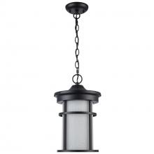 Trans Globe 40385 BK-FR - Outdoor Hanging Lights Black