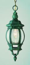 Trans Globe 4065 BC - Parsons 1-Light Traditional French-inspired Outdoor Hanging Lantern Pendant with Chain