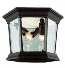 Trans Globe 4904 BC - San Marcos 3-Light Hexagon Glass and Metal, Flush Mount Outdoor Ceiling Lantern Light