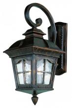 Trans Globe 5420 AR - Briarwood 1-Light Rustic, Chesapeake Embellished, Armed Water Glass and Metal Wall Lantern
