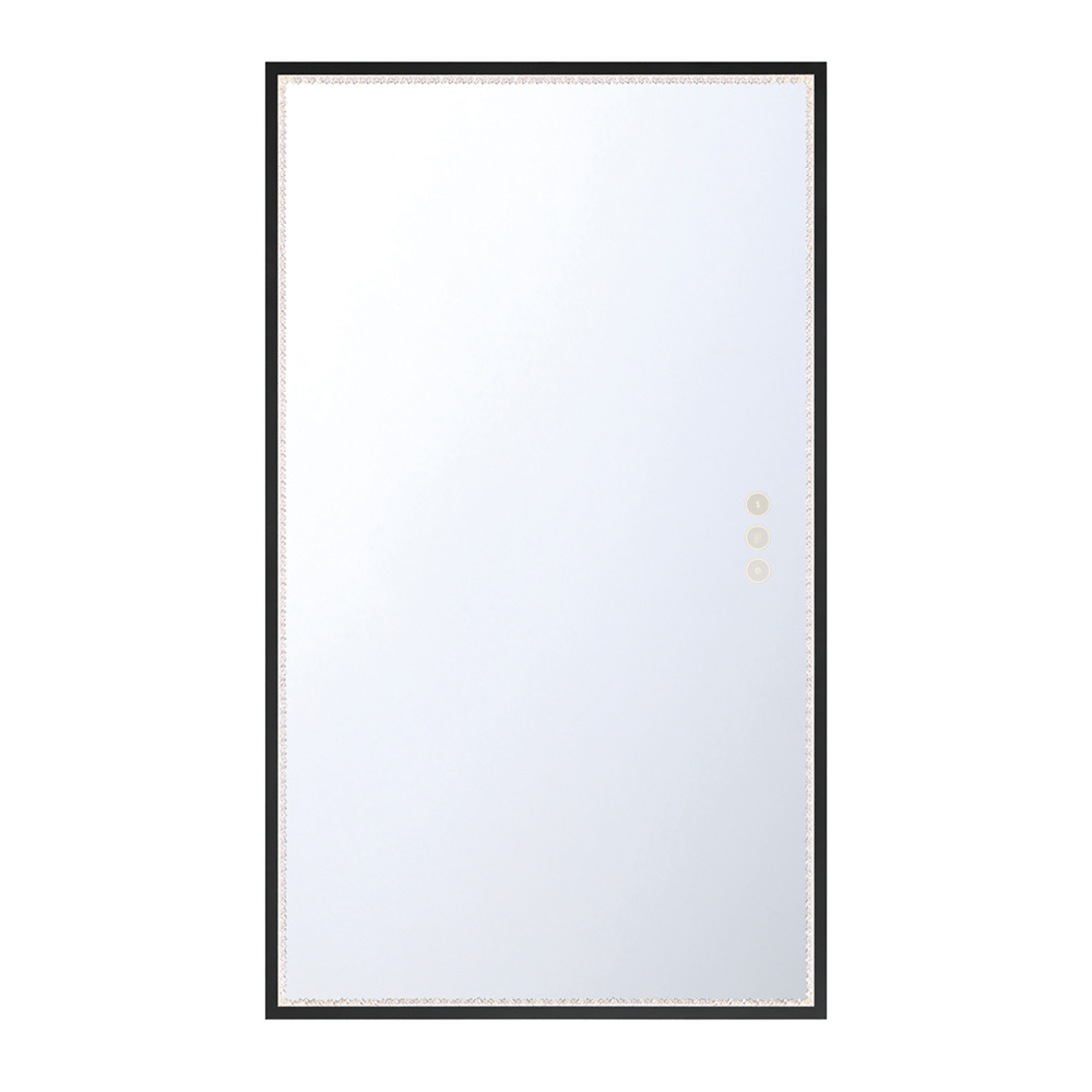 Cerissa 54&#34; Rectangular Mirror in Black