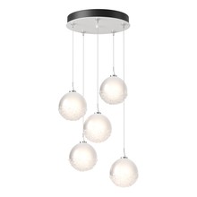 Hubbardton Forge 131131-SKT-STND-02-FD0750 - Fritz Globe 5-Light Pendant