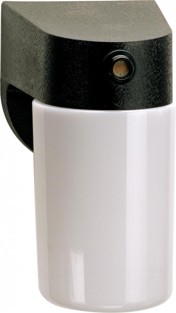 1 Light - 8&#34; - Porch, Wall - With Lexan Cylinder & Photoelectric Sensor