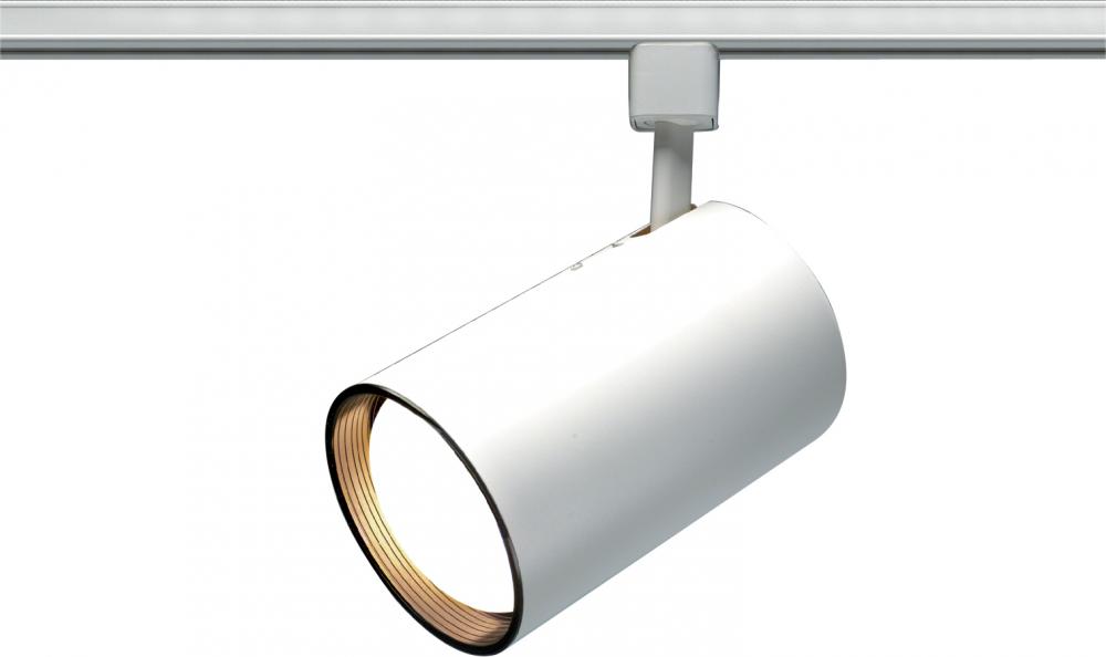 1 Light - R30 - Track Head - Straight Cylinder