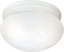 Nuvo SF76/613 - 2 Light - 10" Flush with Alabaster Glass - Textured White Finish