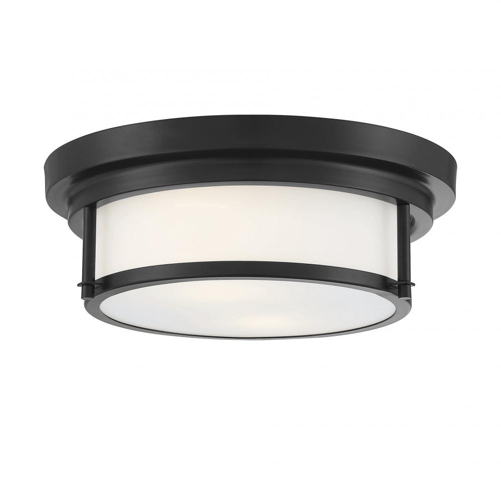 2-Light Ceiling Light in Matte Black